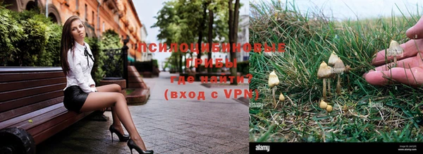 герыч Заводоуковск