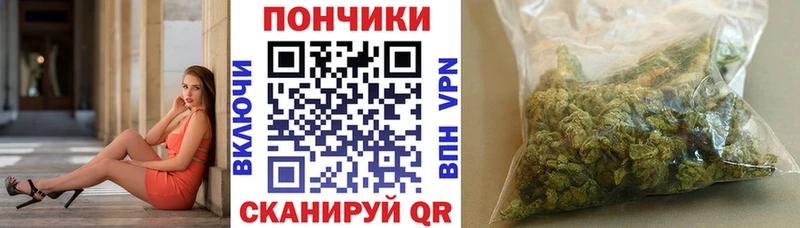 Бошки марихуана марихуана  наркошоп  Карачаевск 